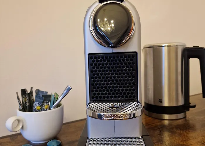 Palais Kneissl 住宿加早餐酒店 4*